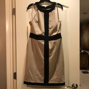 NWOT Ann Taylor Dress